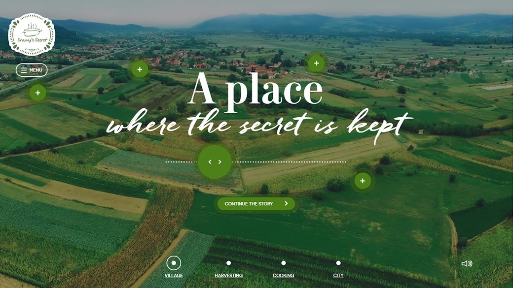 Grannys Secret story